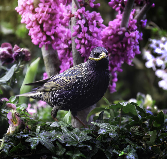 Bild von fiesebrise Bild von fiesebrise