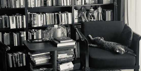 Bild von Schizoline Bild von Schizoline