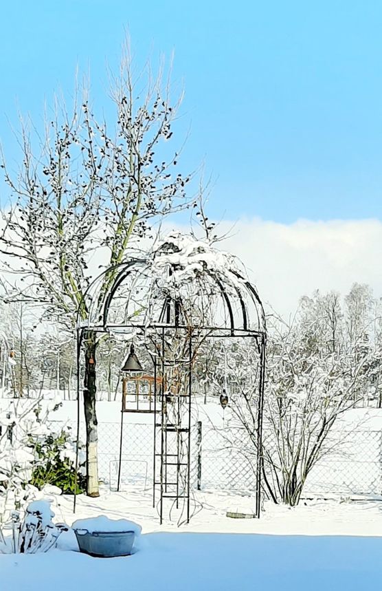 Drei Monate zu spät, Drei Monate zu spät,