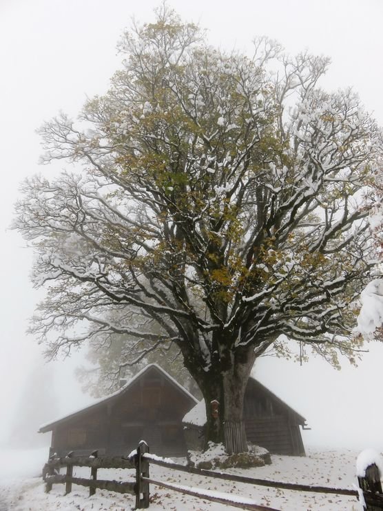 … und noch ein … und noch ein