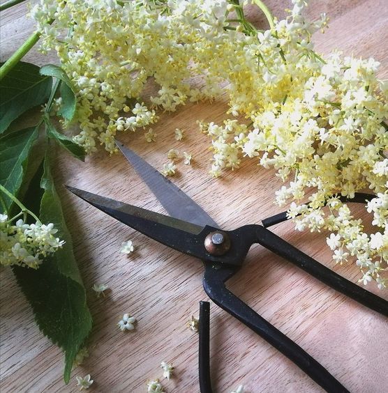 Gestern habe ich schnell Gestern habe ich schnell