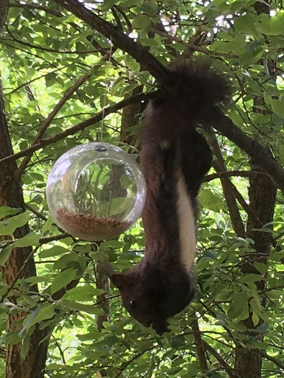 Bild von sandrinelino Bild von sandrinelino