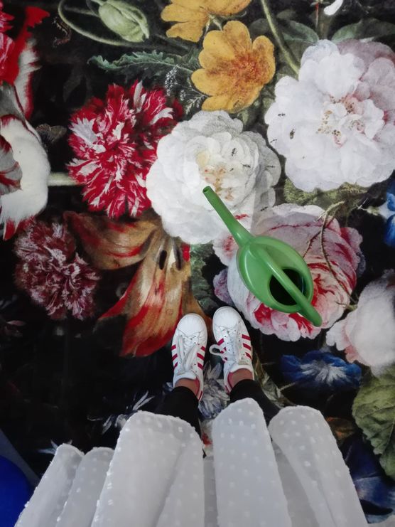 Eden Queen Eden Queen