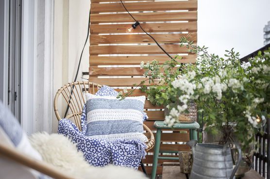 Sommer auf dem Balkon Sommer auf dem Balkon