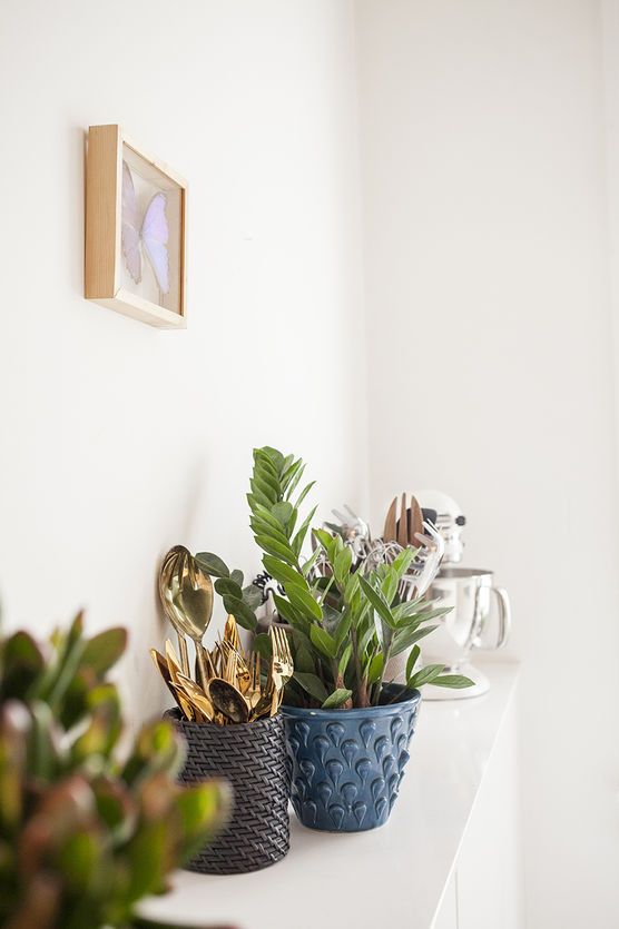 Stillleben in der Küche Stillleben in der Küche