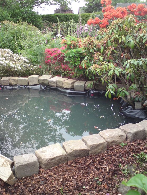 teich geflutet und befestigt teich geflutet und befestigt