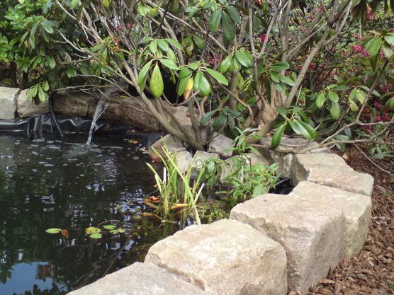 erste bepflanzung erste bepflanzung