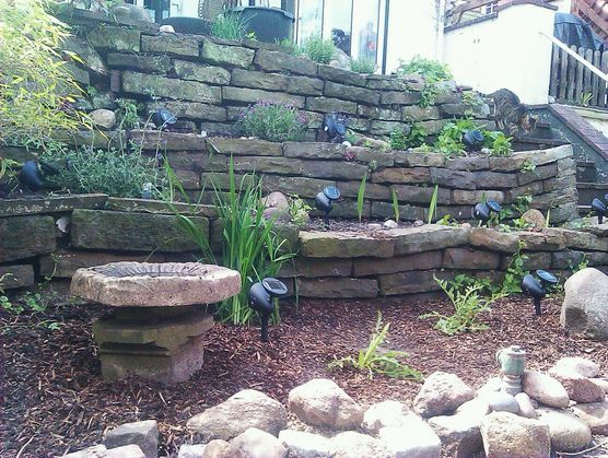 Handyschnappschuss vom Kräutergarten Handyschnappschuss vom Kräutergarten