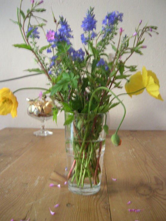 Frisch von der Wiese Frisch von der Wiese