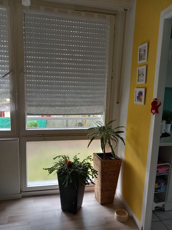 Miniblumenecke Miniblumenecke