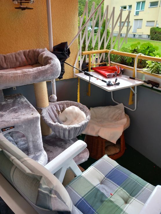 Blanquitas Domizil Blanquitas Domizil