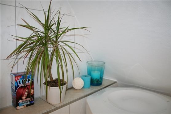 Türkise Oase Türkise Oase