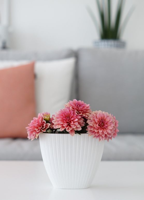 Spätsommer in der Vase Spätsommer in der Vase