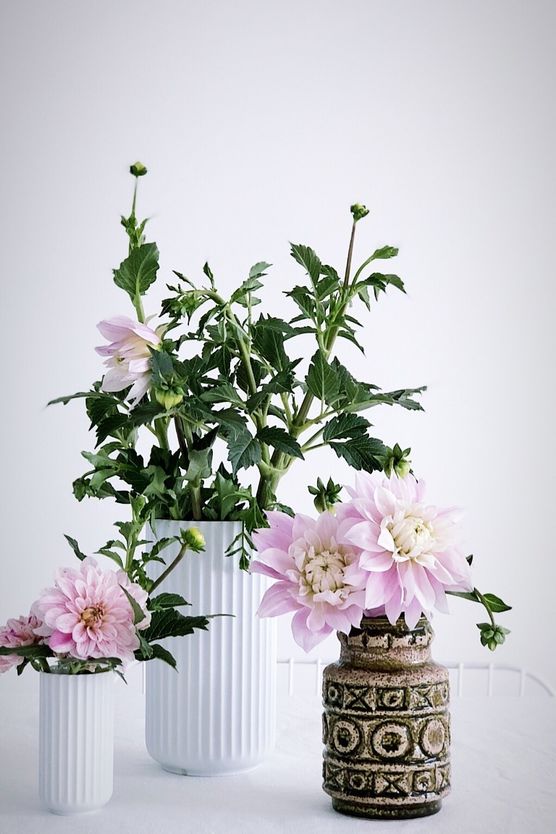 Auf unserem Esstisch: Feines Auf unserem Esstisch: Feines