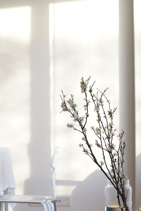 Februarblüten. Februarblüten.