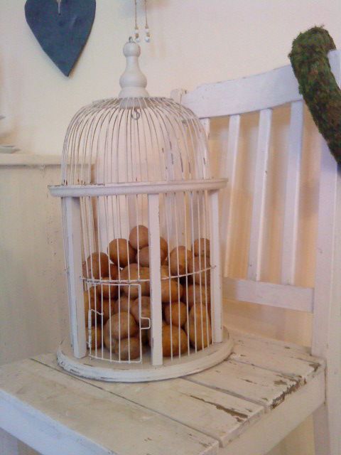 kartoffeln im käfig kartoffeln im käfig