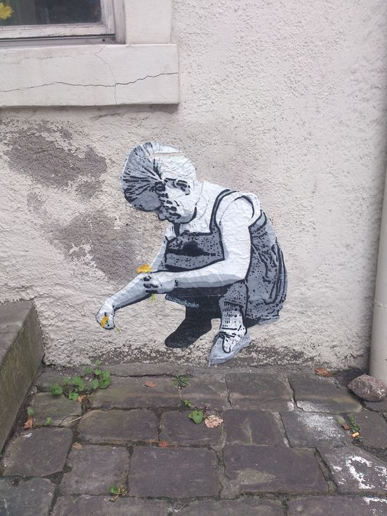 die letzten Blümchen... die letzten Blümchen...