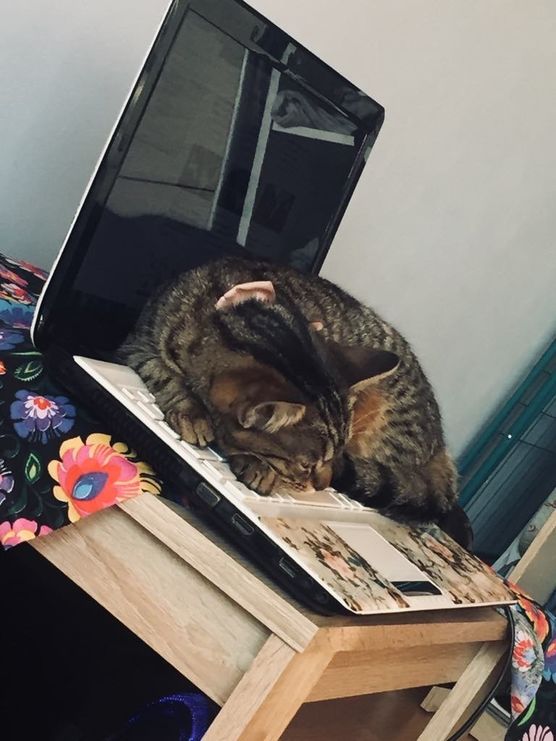 Heute arbeiten wir im Heute arbeiten wir im