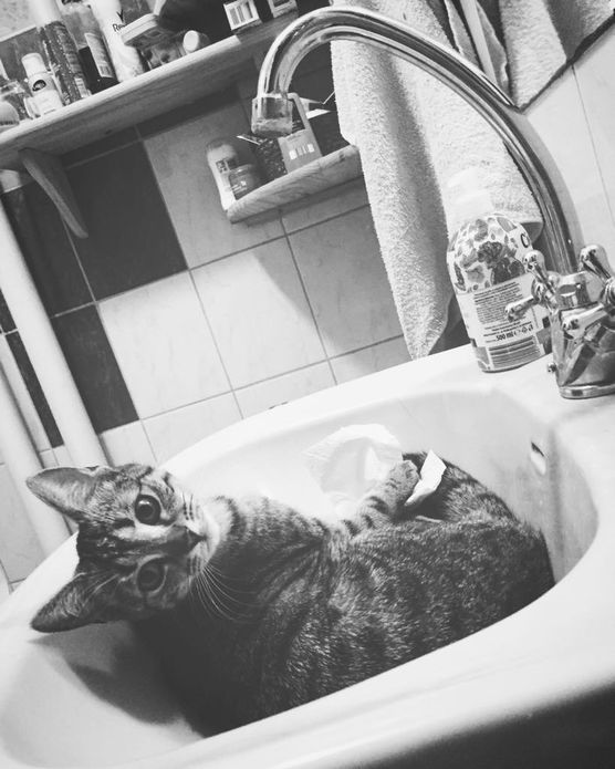 Molly weiß, was bei Molly weiß, was bei