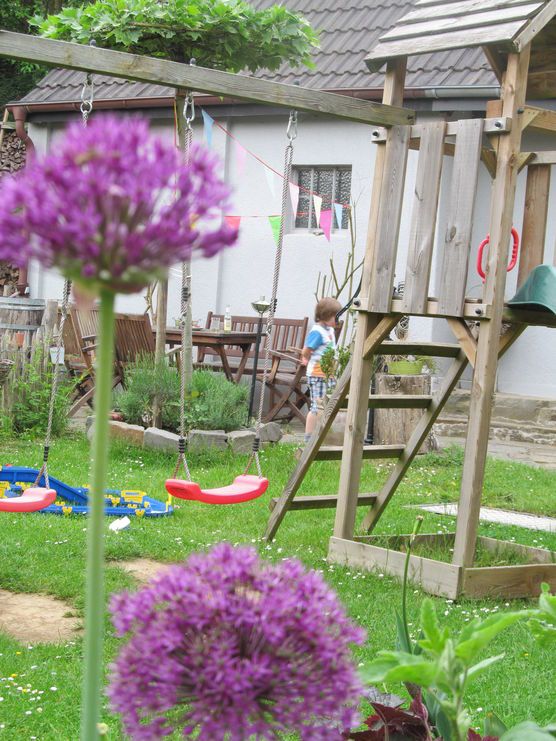 Garten Juni 2016 Garten Juni 2016