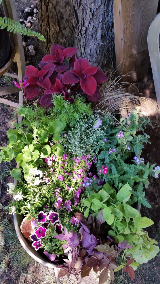 Meine zweite Runde Meine zweite Runde