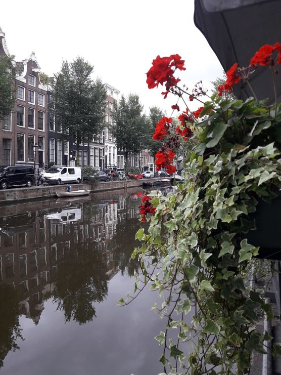 Eine Grachtenfahrt im Spätsommer-zauberhafte Eine Grachtenfahrt im Spätsommer-zauberhafte