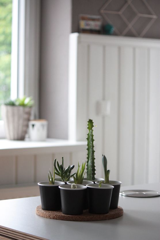 Zuchtprogramm ;-) Zuchtprogramm ;-)