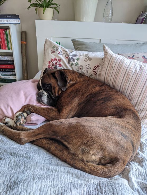 Sobald meine Tochter ihre Sobald meine Tochter ihre