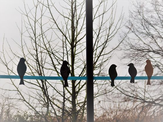 Die Vögel zwitschern den Frühling herbei! Die Vögel zwitschern den Frühling herbei!