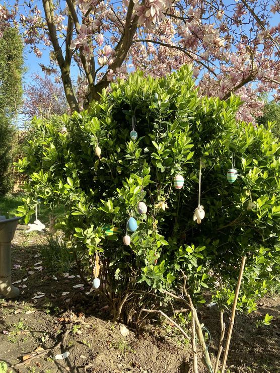 Bild von Julezz Bild von Julezz