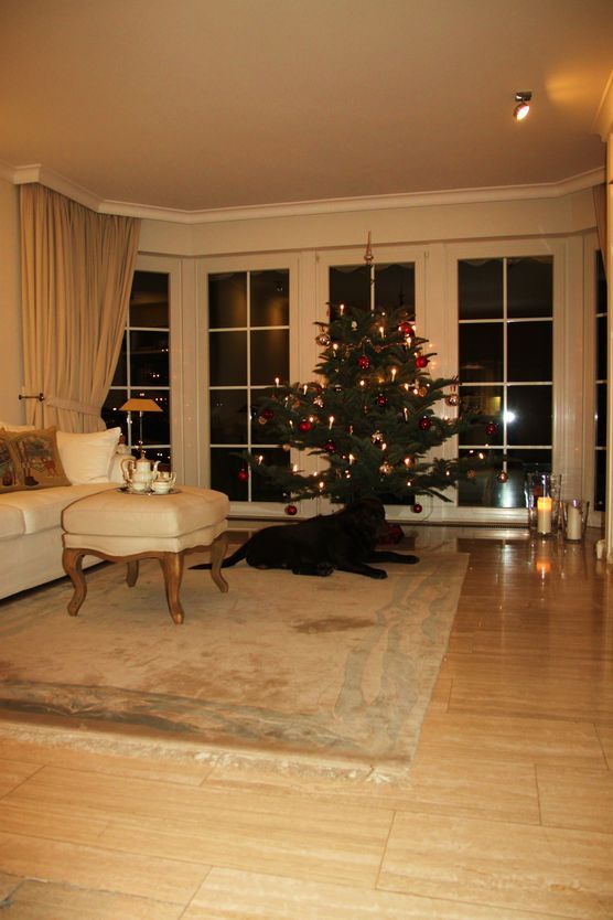 Paul wartet jetzt schon aufs Christkind! Paul wartet jetzt schon aufs Christkind!