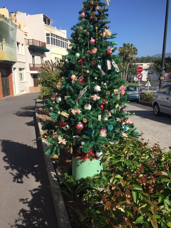Outdoor Weihnachtsbaum entdeckt! Von Outdoor Weihnachtsbaum entdeckt! Von