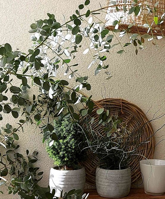 Bild von ManuSndr Bild von ManuSndr