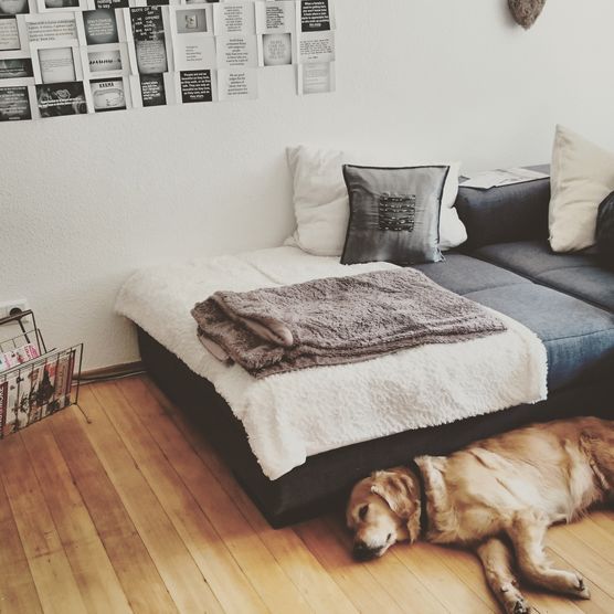 Bei dem Wetter, mag nicht mal der Hund raus Bei dem Wetter, mag nicht mal der Hund raus