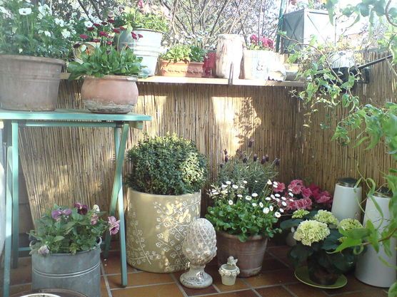 Mein Frühling Mein Frühling