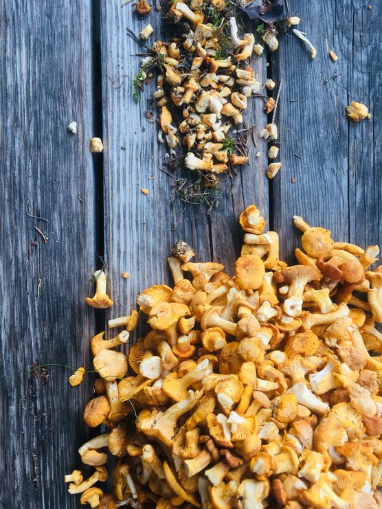 Bild von just_4usnn Bild von just_4usnn