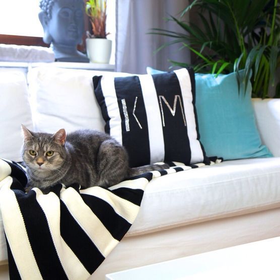 Schwarz Weiß Blau Schwarz Weiß Blau