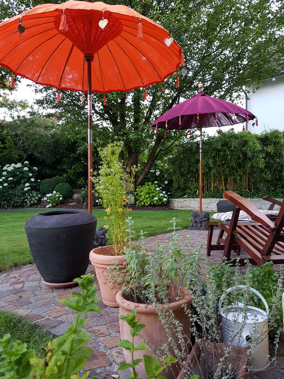 Die farbigen und exotischen Die farbigen und exotischen