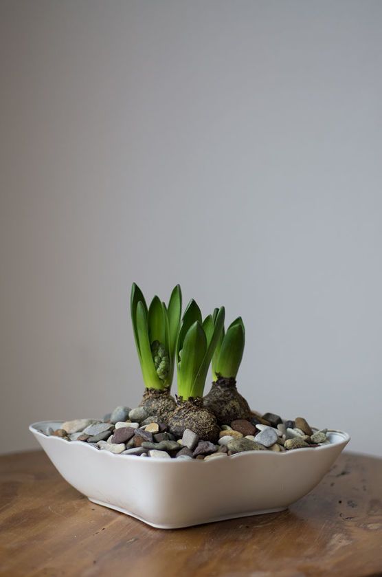 Wenn jetzt Frühling wär'... Wenn jetzt Frühling wär'...