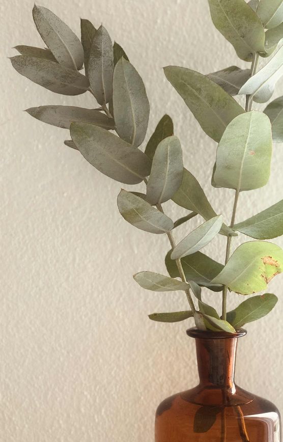 Bild von A Casa Oceano Bild von A Casa Oceano