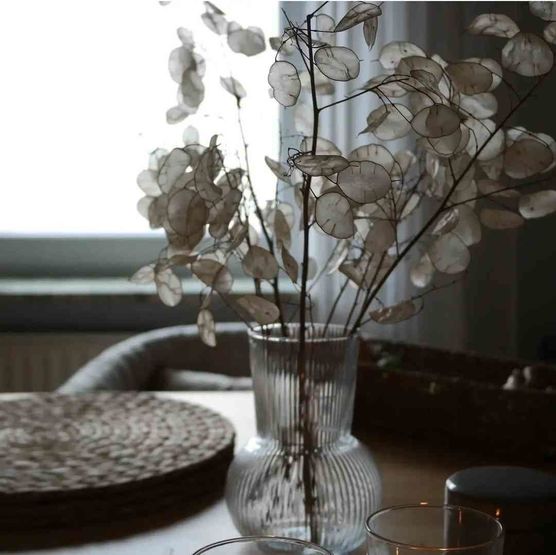 Bild von _Tine_ Bild von _Tine_