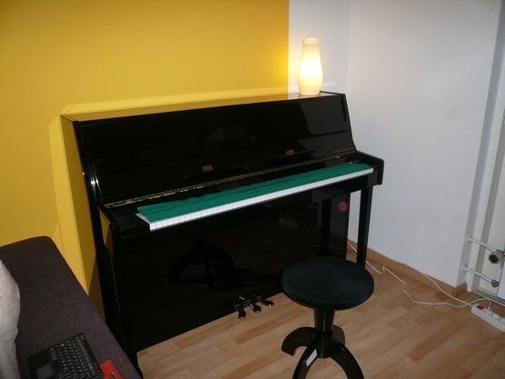 Musikalischer Mitbewohner Musikalischer Mitbewohner