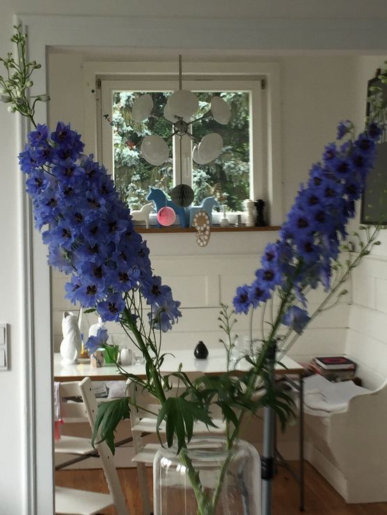 Blütenpracht.... vor ein paar Wochen! Blütenpracht.... vor ein paar Wochen!