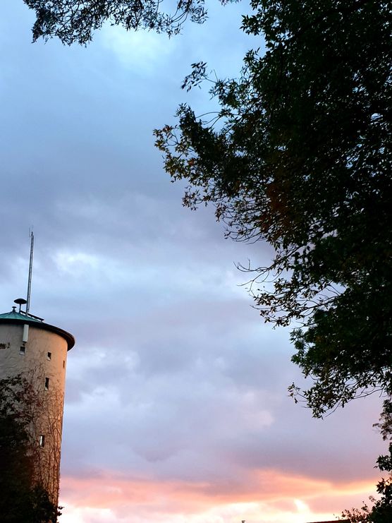 ...und gaaanz oben die ...und gaaanz oben die