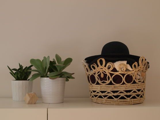 Grün(ein)z(e)ug Grün(ein)z(e)ug