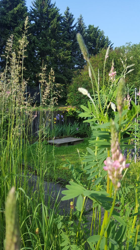 Aus einer großen Holzpalette Aus einer großen Holzpalette