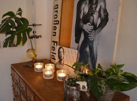 Pflanzenfreude Pflanzenfreude