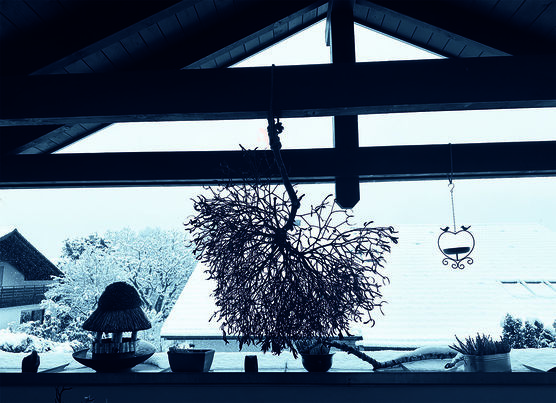 🎄♥ schönes erstes Adventwochende 🎄♥ schönes erstes Adventwochende