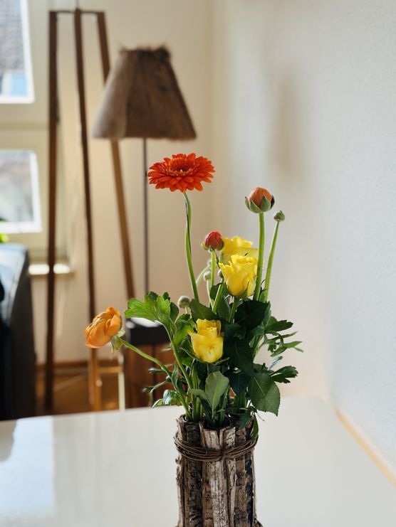 .... Wohnzimmer ist frisch .... Wohnzimmer ist frisch