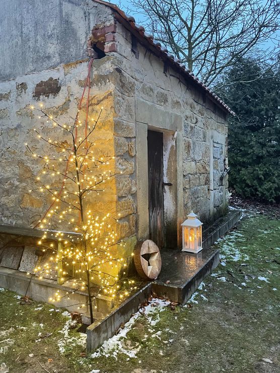 Bild von ilona7 Bild von ilona7